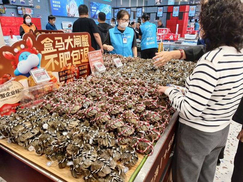 贸易代理的黄金时代：解锁商业潜力